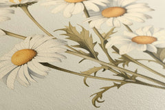 Vintage Daisy Botanical Illustration - Canvas Print - Artoholica Ready to Hang Canvas Print