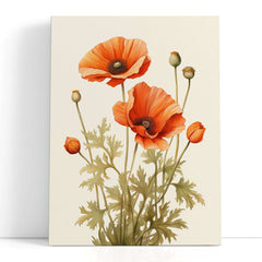 Vintage Poppy Botanical Illustration - Canvas Print - Artoholica Ready to Hang Canvas Print